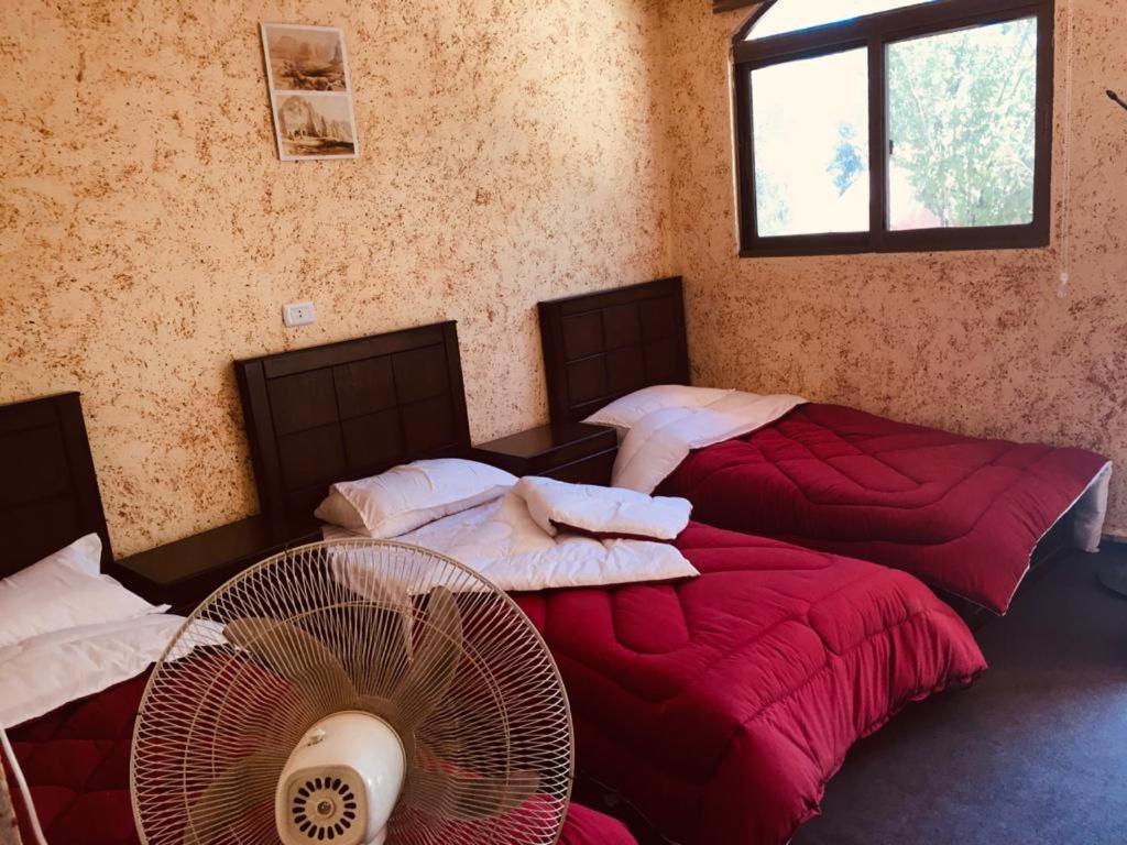 Appartamento Petra Bedouin House 1 Wadi Musa Esterno foto