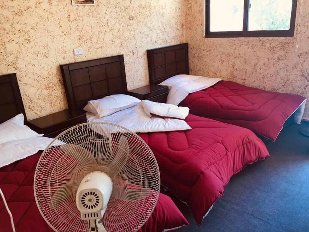 Appartamento Petra Bedouin House 1 Wadi Musa Esterno foto